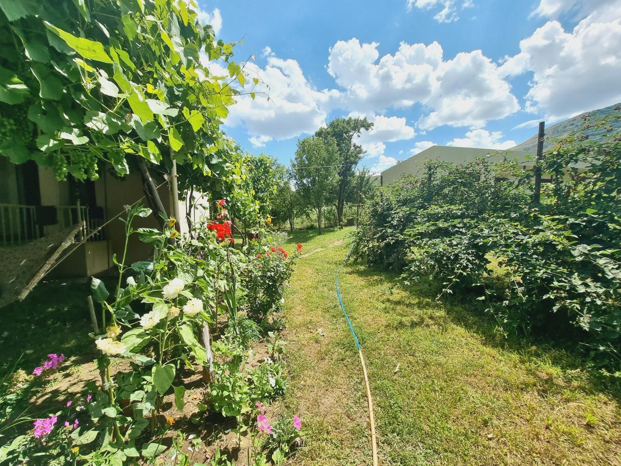 Отель Bee House Pia Экстерьер фото